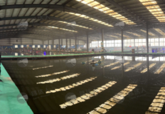 北京通州松海垂釣園